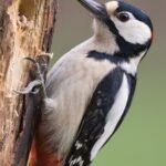 The Power of Visual Storytelling: How Photography Can Impact Lives