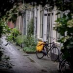 "Behind the Lens: A Look at the Life of a Professional Photographer"