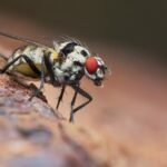 "Capturing Moments: The Power of Photography"